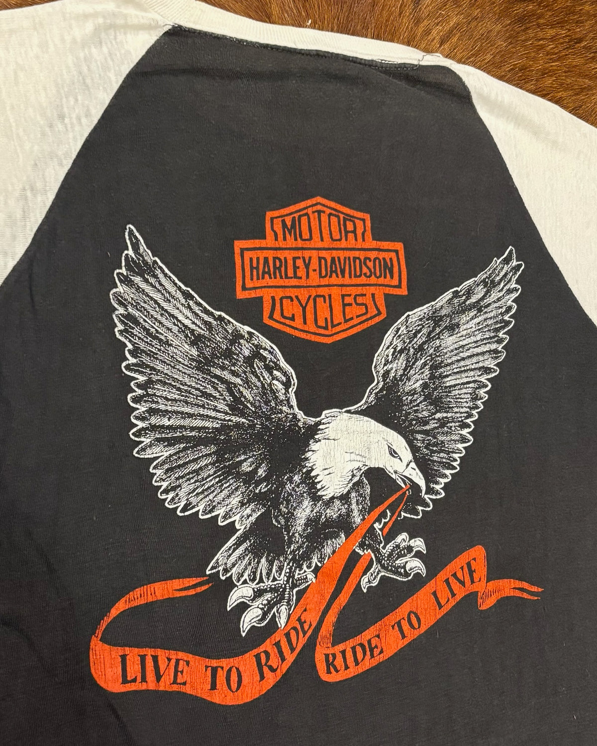 Vintage Harley-Davidson 「“Live to Ride” Eagle Raglan」