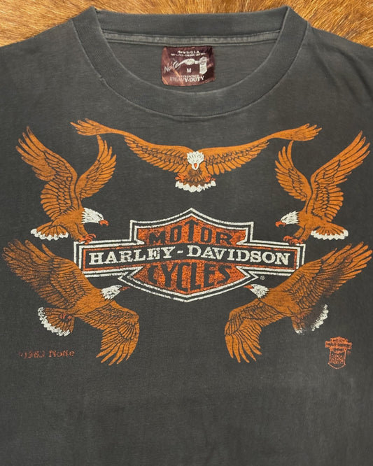 Harley-Davidson 「“Newton Cycle Shop” Eagle」